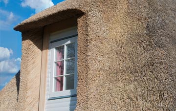 Nettlebed thatch roof disadvantages